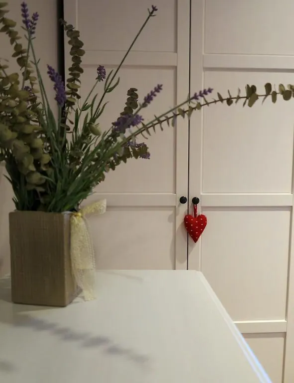 Apartment Sant Francesc Olot Spain